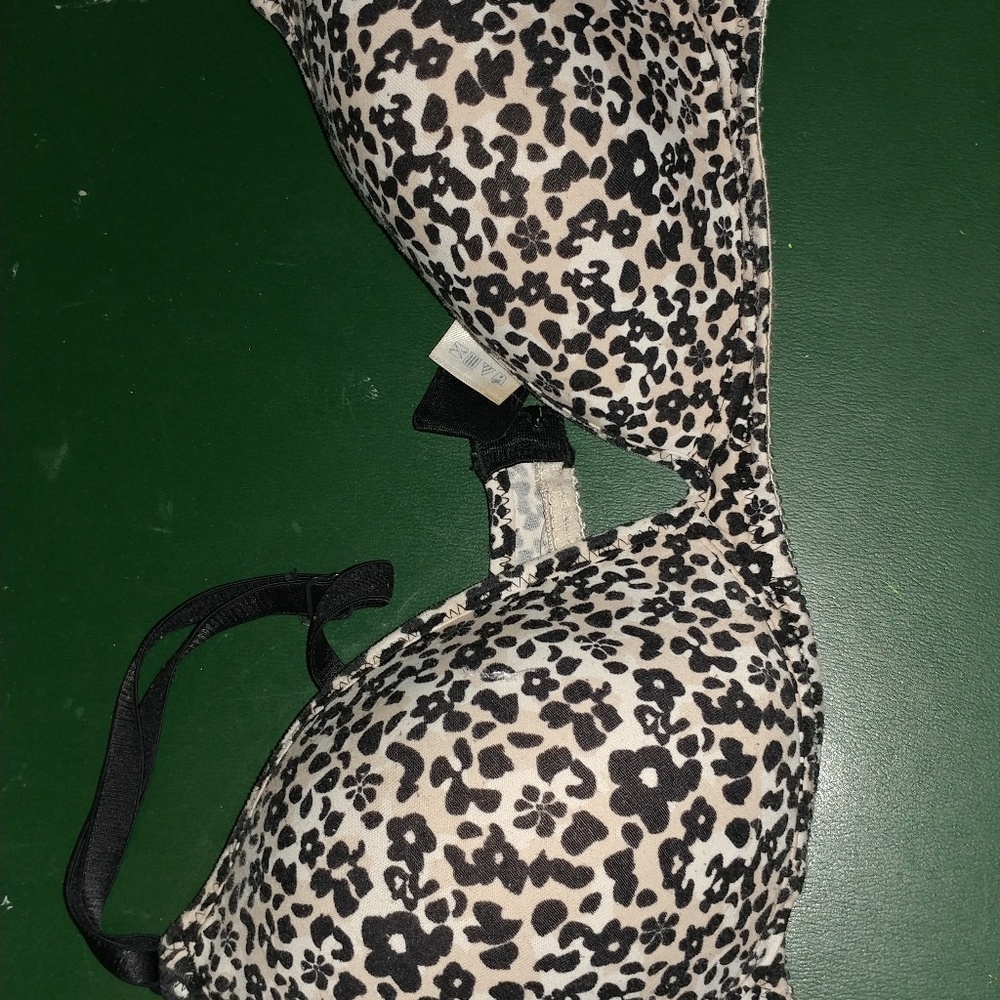 36b bra